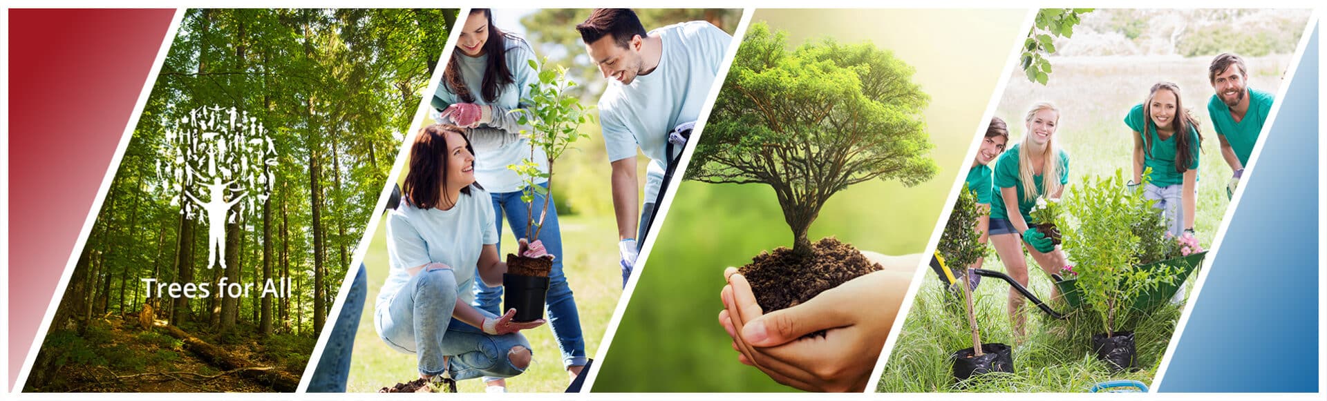 Trees for All