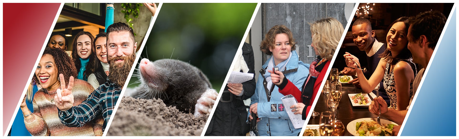 Wie is de verrader bedrijfsuitje